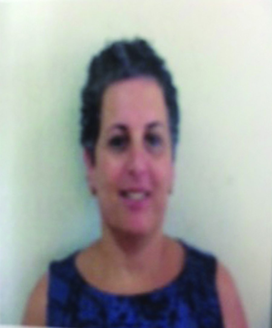 חנה שטיין