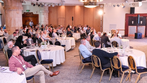 EILAT 2022 (56 of 108).jpg